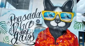 Ilha Dos Gatos - Image 4