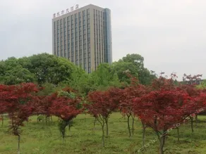 Qujiang Oriental Hotel (Quzhou Airport Branch) - Image 4
