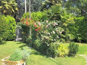 Rainbow Relais - Image 5