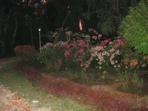 Cinnamon Cottage - Image 4