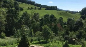 Sowie Klimaty - Image 3