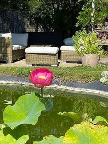 Une Vie En Rose - Image 2