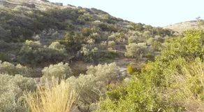 Villa Mirtula, mountain retreat with a plonge pool - Image 5