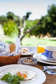 Quinta Rosa Amarela - Image 2