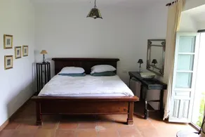 The White Olive - Image 5