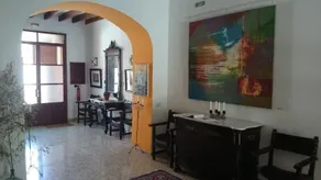 Can Mavi - Image 3