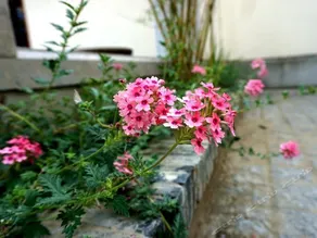 Bantang Hotel - Image 5