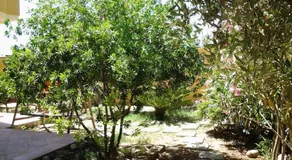 Elies Home - Image 1