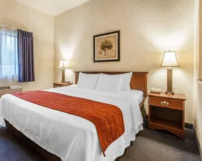 Comfort Inn Conference Center Tumwater - Image 2