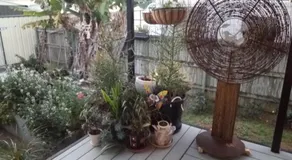 Kyogle Comfy Homestay - Image 2