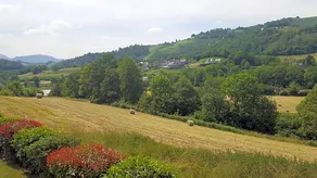 Les 3 Baudets - Image 4
