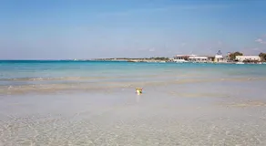 Economico bilocale 2-4 posti spiaggia Ionio m528 - Image 3