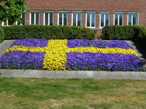 Ystad Camping - Image 2