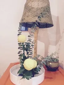Jiangxin Zhu - Image 3