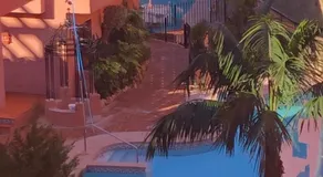 Estrelicia - Image 4