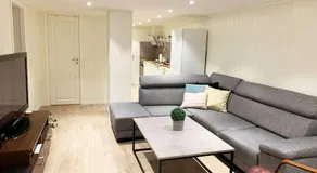 Newly renovated basement apartment - Image 2