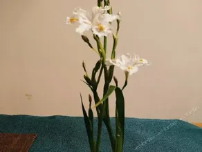 Zhulin Yueying Health Club - Image 4