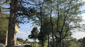 Shkreli Hotel Camp - Image 2