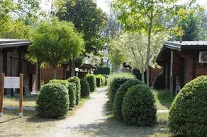 Bungalow in the Adriano Family Camping Village - Image 4