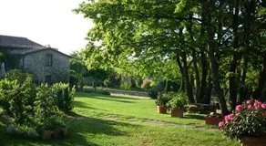Charming hills - Image 2