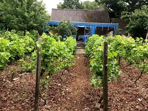 Bed and Garden d’Alde Coninckshof - Image 2