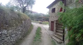 Podere Leporino - Image 5