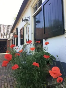 Bed and Breakfast De Bosakker - Image 2