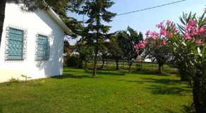 Bungalow bei Emma - Image 5
