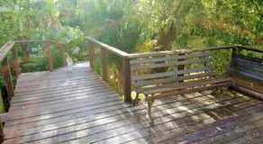 Cabanas Bocas Del Tigre - Image 2