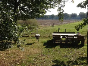 B&B Wachtpost 29 - Image 5