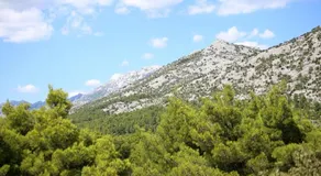 Villa francesca Starigrad - Image 4