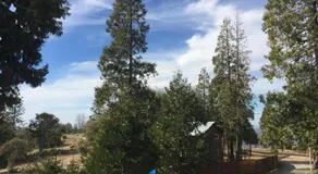 Acorn Rd Cabin with mountain views - Image 4
