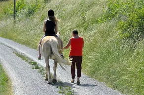 Urlaub am Haberlehof - Image 5