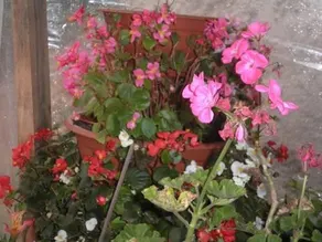 Apartment Melany - Image 1