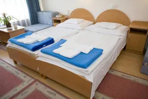 Hotel Harom Hattyu - Image 5