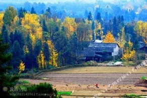 Yinxin Jianhua Farm Stay - Image 4