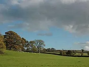 West Nethercott - Image 2