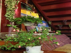 Muzi Inn - Image 2