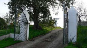 Quinta Toca do Mocho - Image 4