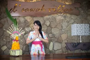 D'Sawah Villas Umalas - Image 3