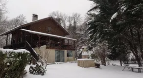 Le Grand Saule - Image 4