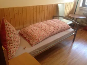 Hotel am Waldsee - Image 4