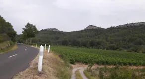 Le Clos Des Vins D'Anges - Image 4