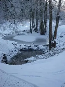 Le Petit Somme - Image 3