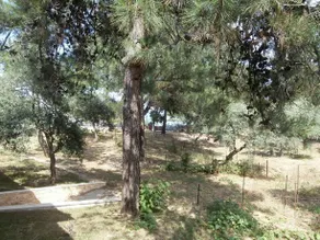 Villa Barouti - Image 5