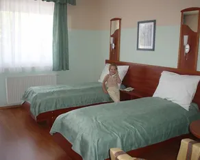 Wolf Hotel - Image 5