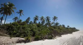 Casa de Praia Mico Leao - Image 4