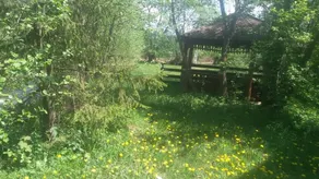 Pensiunea Tora - Image 4