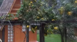 Pousada Nostro Bepe - Image 5