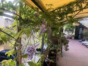 B&B Casa Leone - Image 3